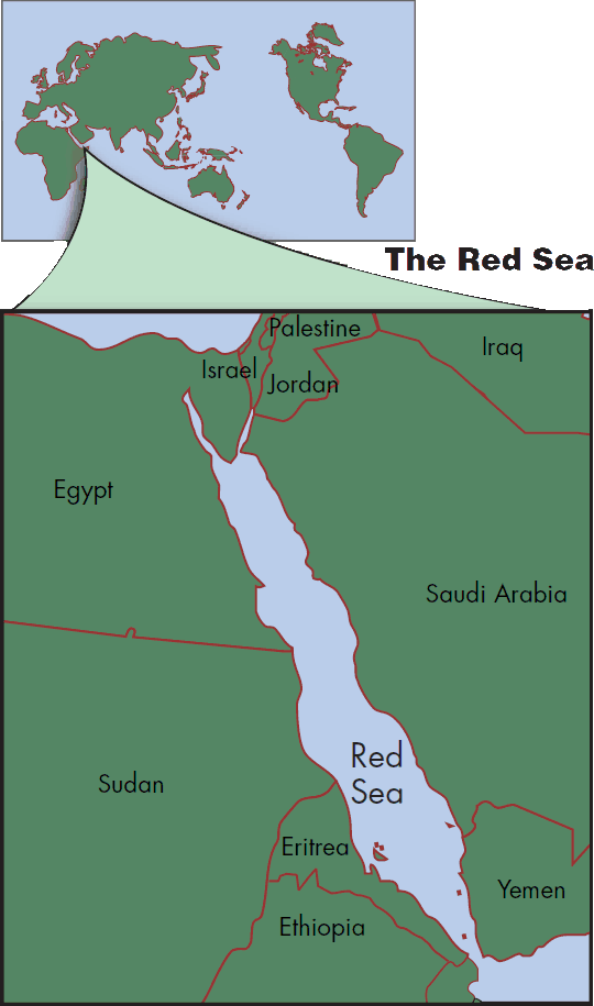 Recreational Scuba Diving Red Sea