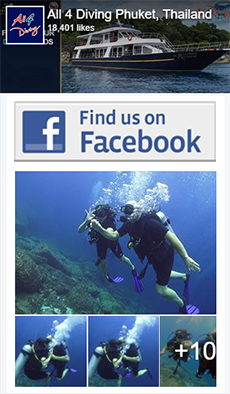 Scuba Diving Phuket - Facebook badge