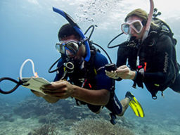 Scuba Diving Lessons Phuket - PADI AOWC