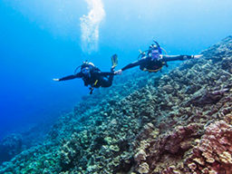 Discover Scuba Diving Phuket
