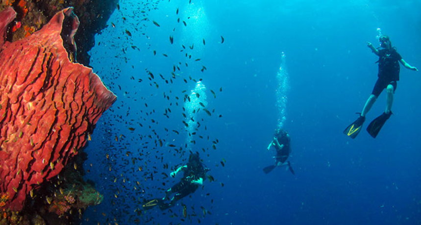Phi Phi Islands Diving - Ko Bida Nok Fun Divers