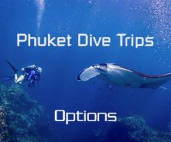 Phuket Dive Trips - Options