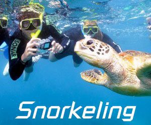 Snorkeling_with_turtle