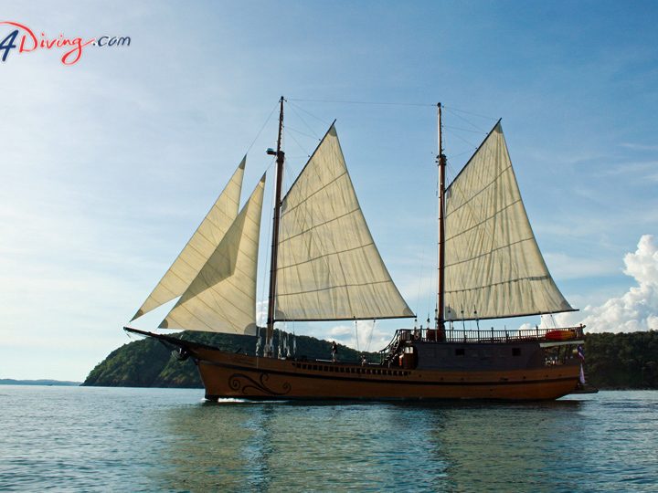 Diva Andaman Liveaboard - Luxury Liveaboard Phuket Similan Islands and Burma with All4Diving Thailand-10