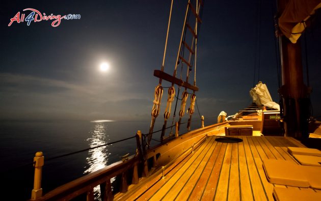 Diva Andaman Liveaboard - Luxury Liveaboard Phuket Similan Islands and Burma with All4Diving Thailand-12