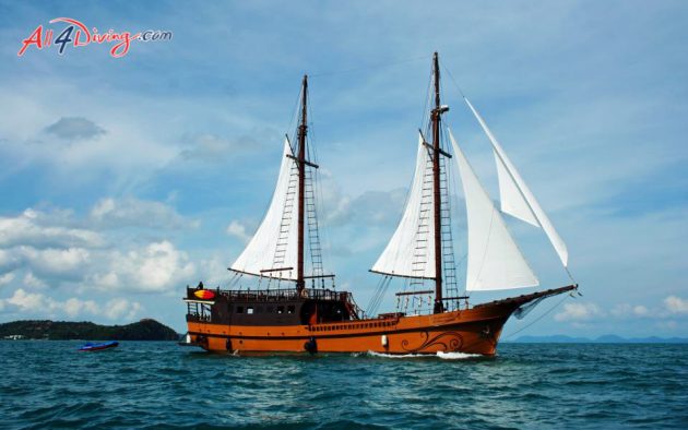 Diva Andaman Liveaboard - Luxury Liveaboard Phuket Similan Islands and Burma with All4Diving Thailand-13
