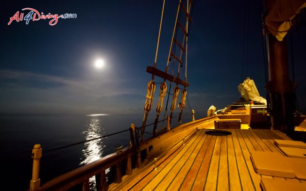 Diva Andaman Liveaboard - Luxury Liveaboard Phuket Similan Islands and Burma with All4Diving Thailand-24