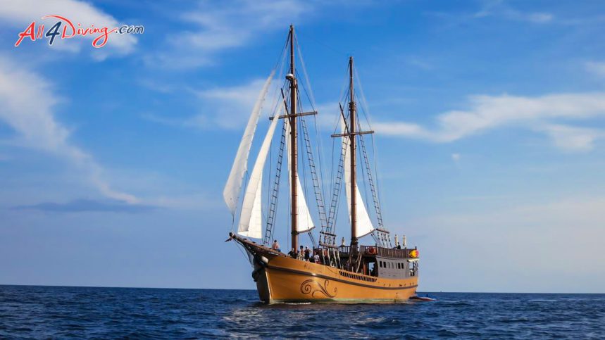 Diva Andaman Liveaboard - Luxury Liveaboard Phuket Similan Islands and Burma with All4Diving Thailand-29