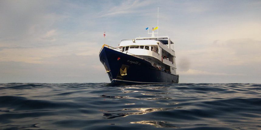 MV Manta Queen 3 Liveaboard - Best Scuba Diving Phuket and Similan Islands with All4Diving