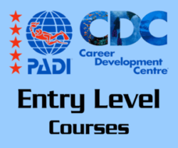 Entry Level PADI courses