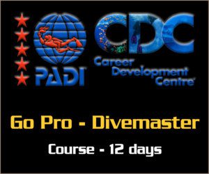 PADI Go Pro - Divemaster short course