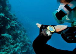 PADI Underwater Navigation Specialty Diver