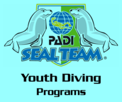 Youth Diving Programs