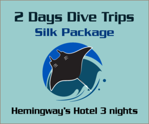 2 Days Dive trips Silk Package