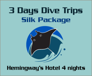 3 Days Dive trips Silk Package
