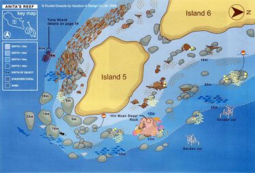 Similan Islands dive site - Anita's Reef