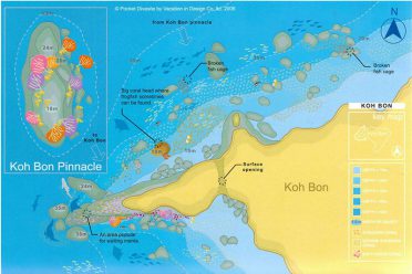 Similan Islands dive site - Koh Bon pinnacle