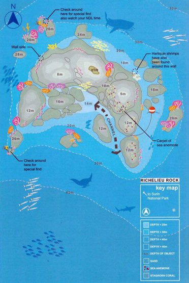 Similan Islands dive site - Richelieu Rock