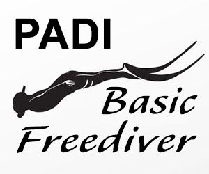 PADI Basic Freediver Course Phuket Thailand