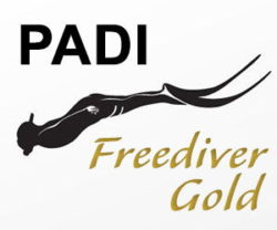 PADI Freediver Course Phuket Thailand - Gold