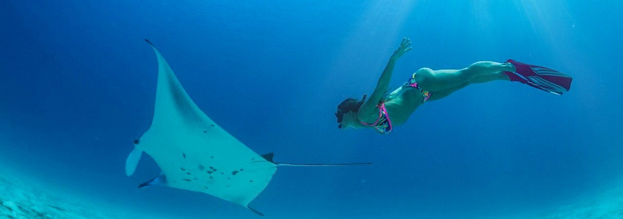 PADI Freediver Phuket Thailand- Freediving with All4Diving - Slider 06