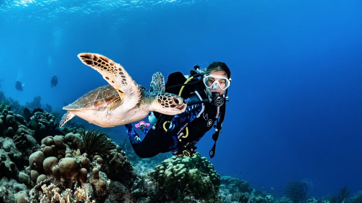 Phuket diving - scuba diver and sea turtle