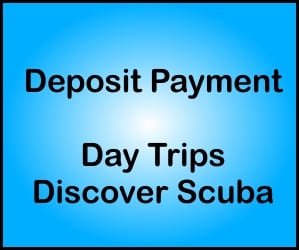 Deposit Payment Day Trips DSD