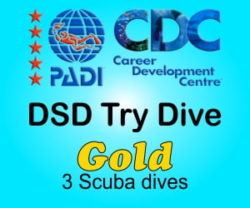 PADI Discover Scuba Diving Gold - Phuket