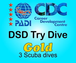 PADI Discover Scuba Diving Gold - Phuket