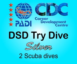 PADI Discover Scuba Diving Silver Phuket