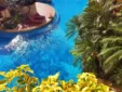 Paragon Hotel Patong - Swimming Pool 06