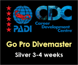 PADI Pro Thailand - Divemaster course Silver Pack